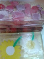 /album/galleria-foto/a20130918-180050-jpg/