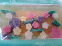 /album/galleria-foto/a20130918-180125-jpg/