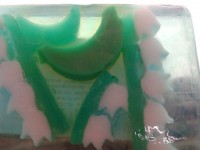 /album/galleria-foto/a20130918-180157-jpg/