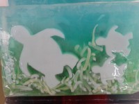 /album/galleria-foto/a20130918-180302-jpg/