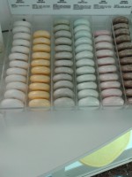 /album/galleria-foto/a20130918-180415-jpg1/